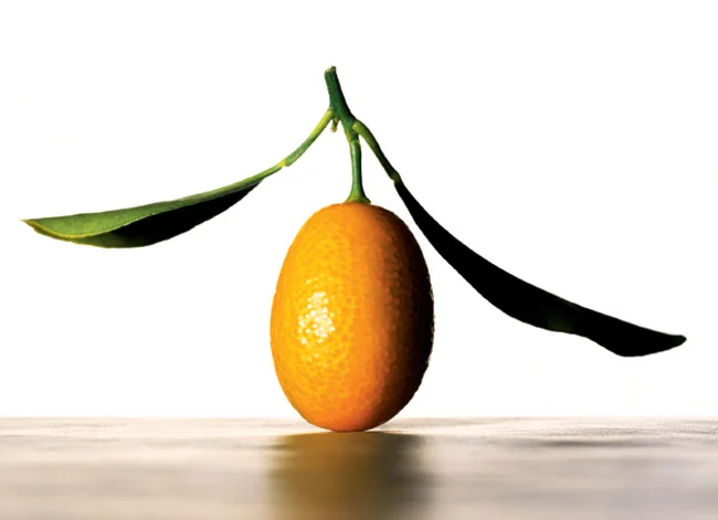 Kumquats - The Little Gold Gems Of The Citrus Family