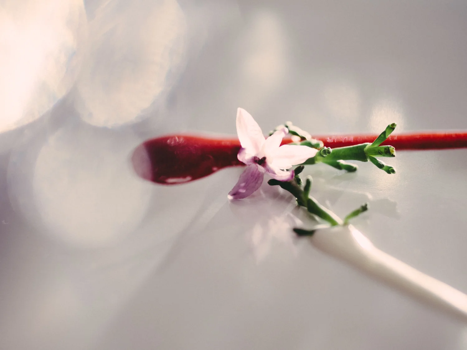 Edible Flowers