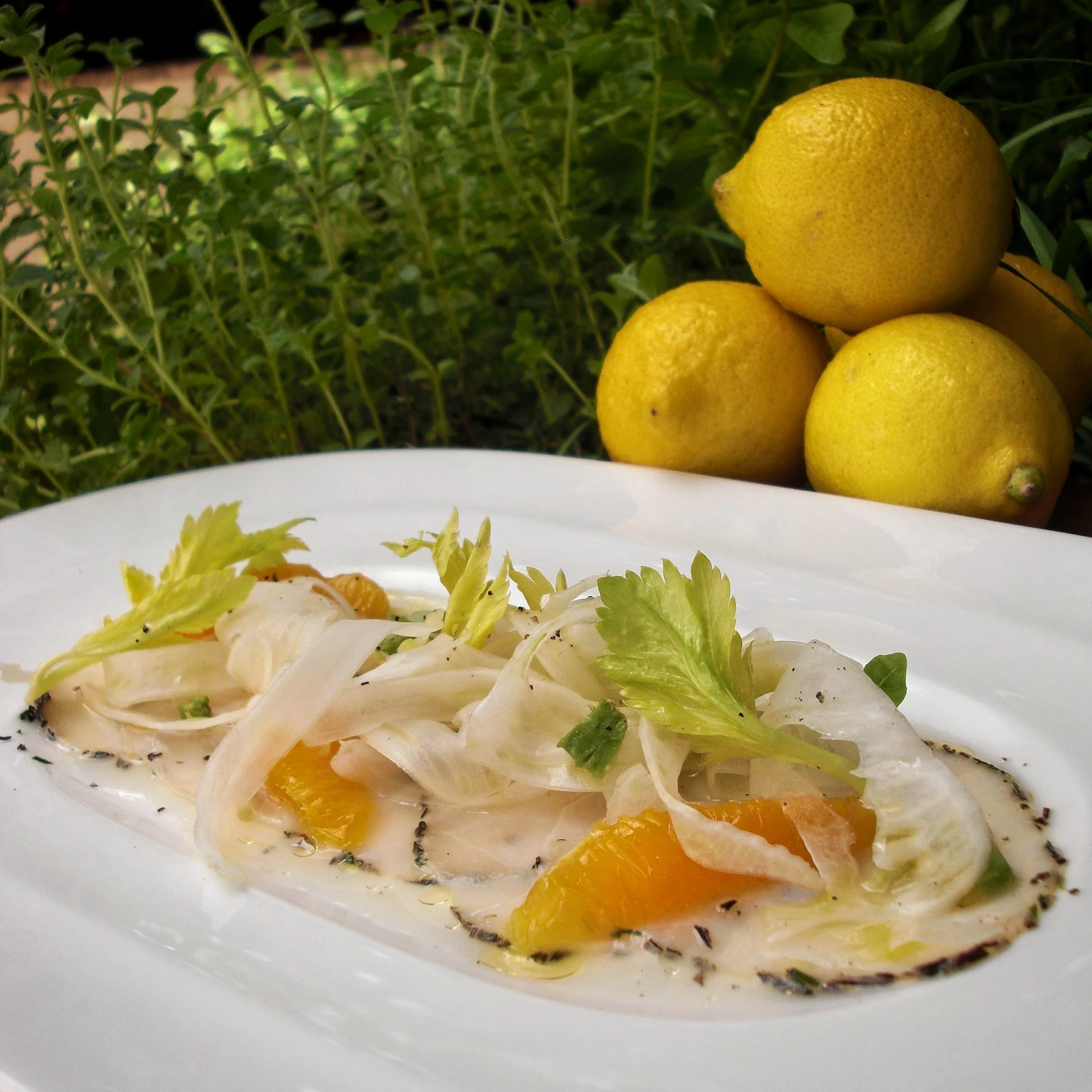 Italian Swordfish Crudo By Chef Michael Finizia