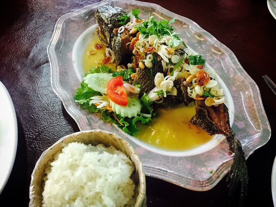 Pla Chon Lui Suan (Fish In A Garden) - In Chiangmai