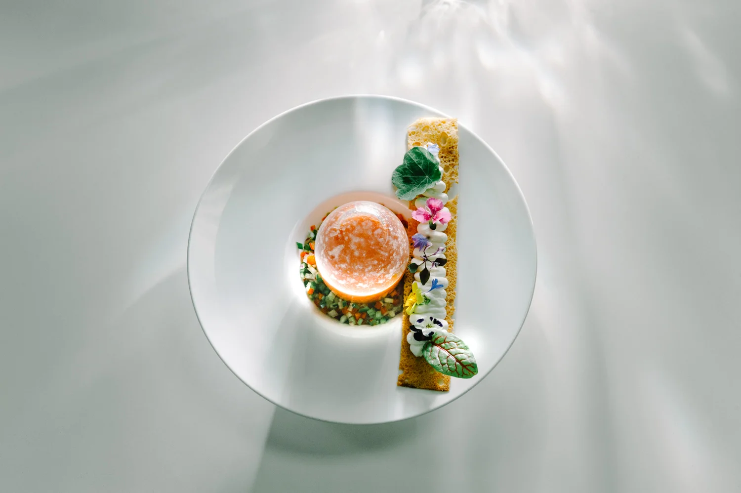 THE CARROTS ARE COOKED | THERE'S NO TURNING BACK, VEGETARIAN CUISINE IS HERE TO STAY