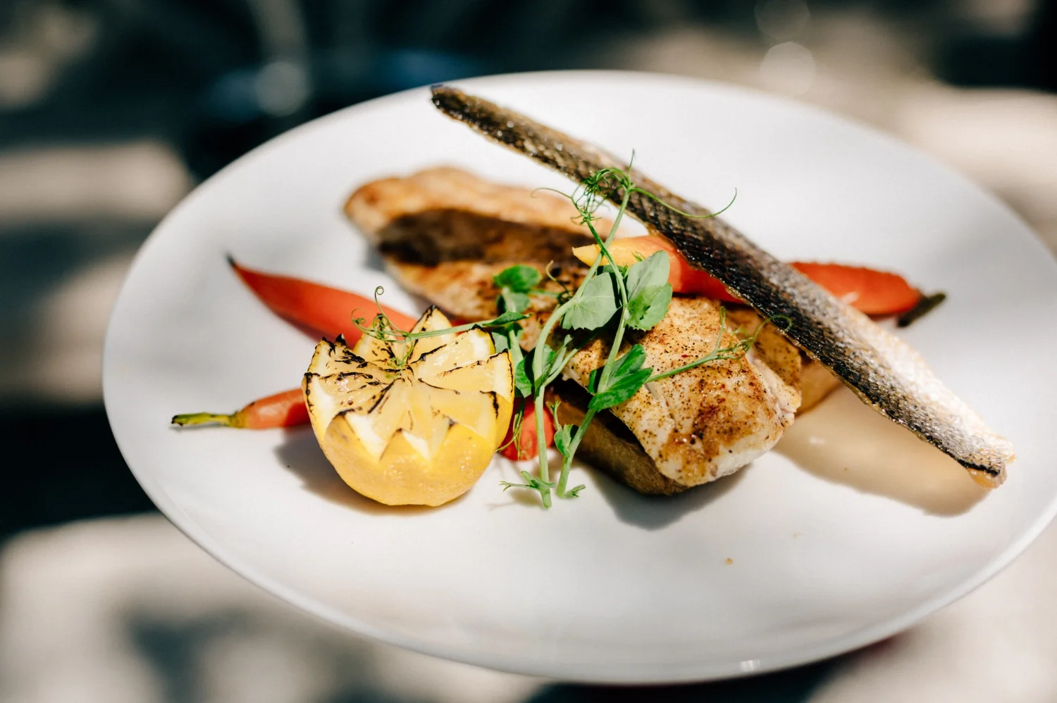 Pan-Seared Branzino, Crispy Skin, Leek & Potato Fondant, Baby Rainbow Carrots