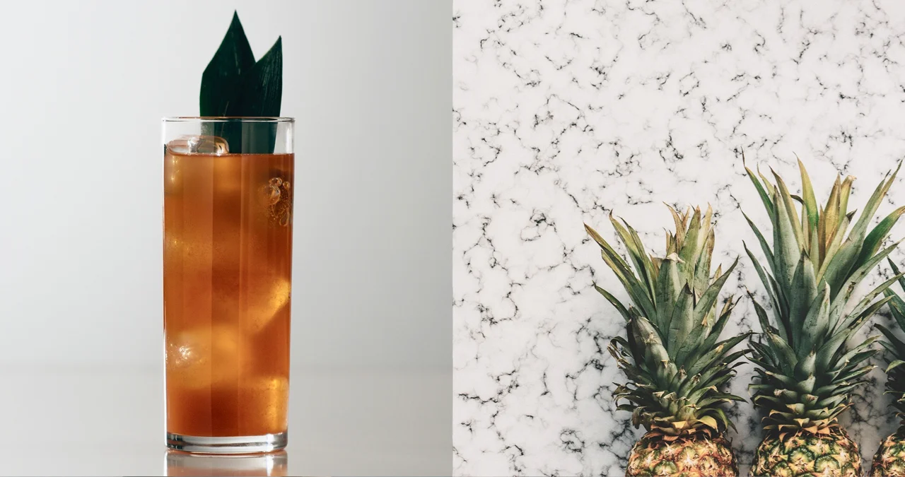 "Jungle Bird" from LIBATIONS By TI