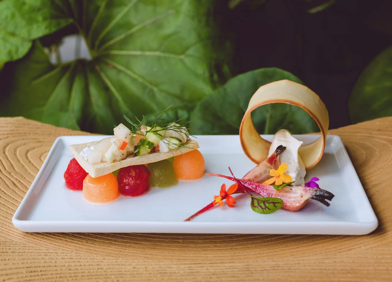 WHIMSICAL SALAD: Heirloom Carrot, Lettuce Crown, Matcha Sponge, Olive Crumb, Sun Dried Tomato Vinaigrette