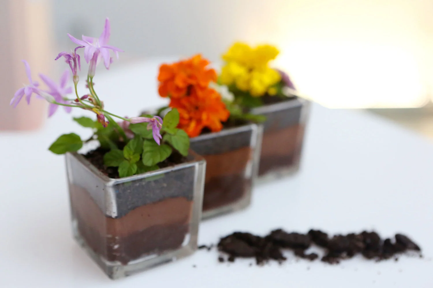 Edible Flowers in a bed of Oreo Crumble, Chocolate Mousse & Chocolate Cake