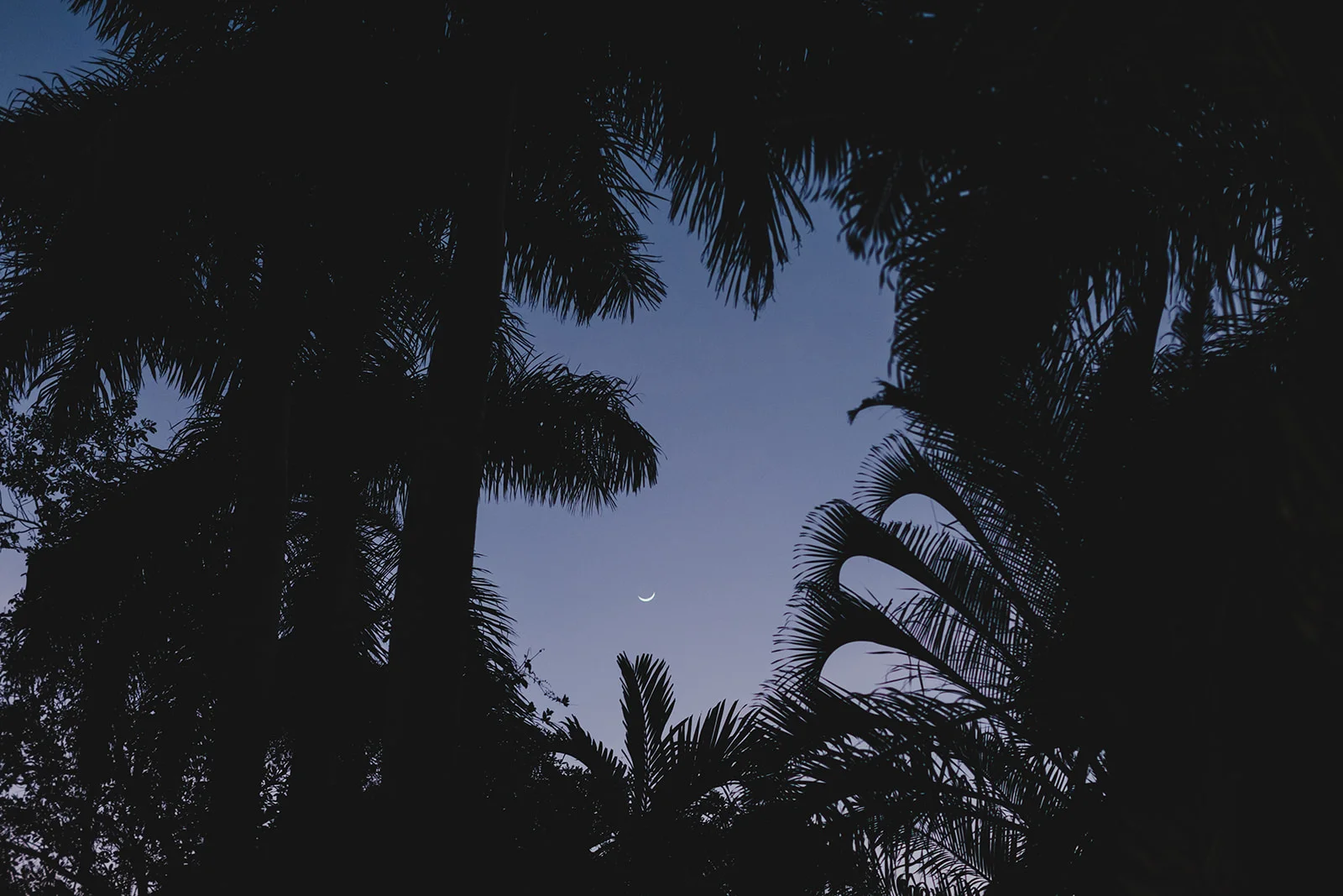 Miami Night Sky.jpg