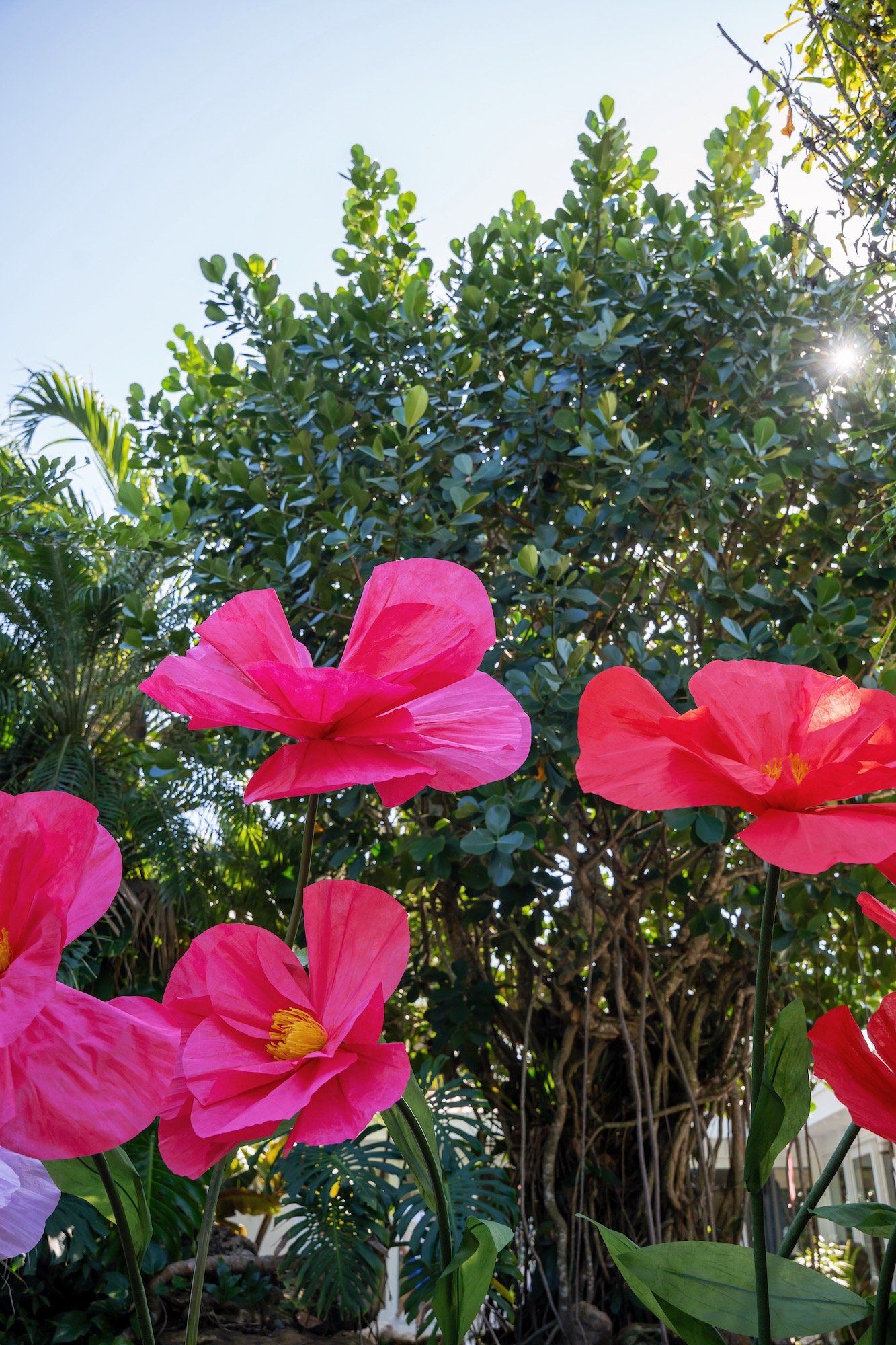 A WHIMSICAL ONEDERLAND: DESIGNING A FIRST BIRTHDAY GARDEN PARTY IN MIAMI