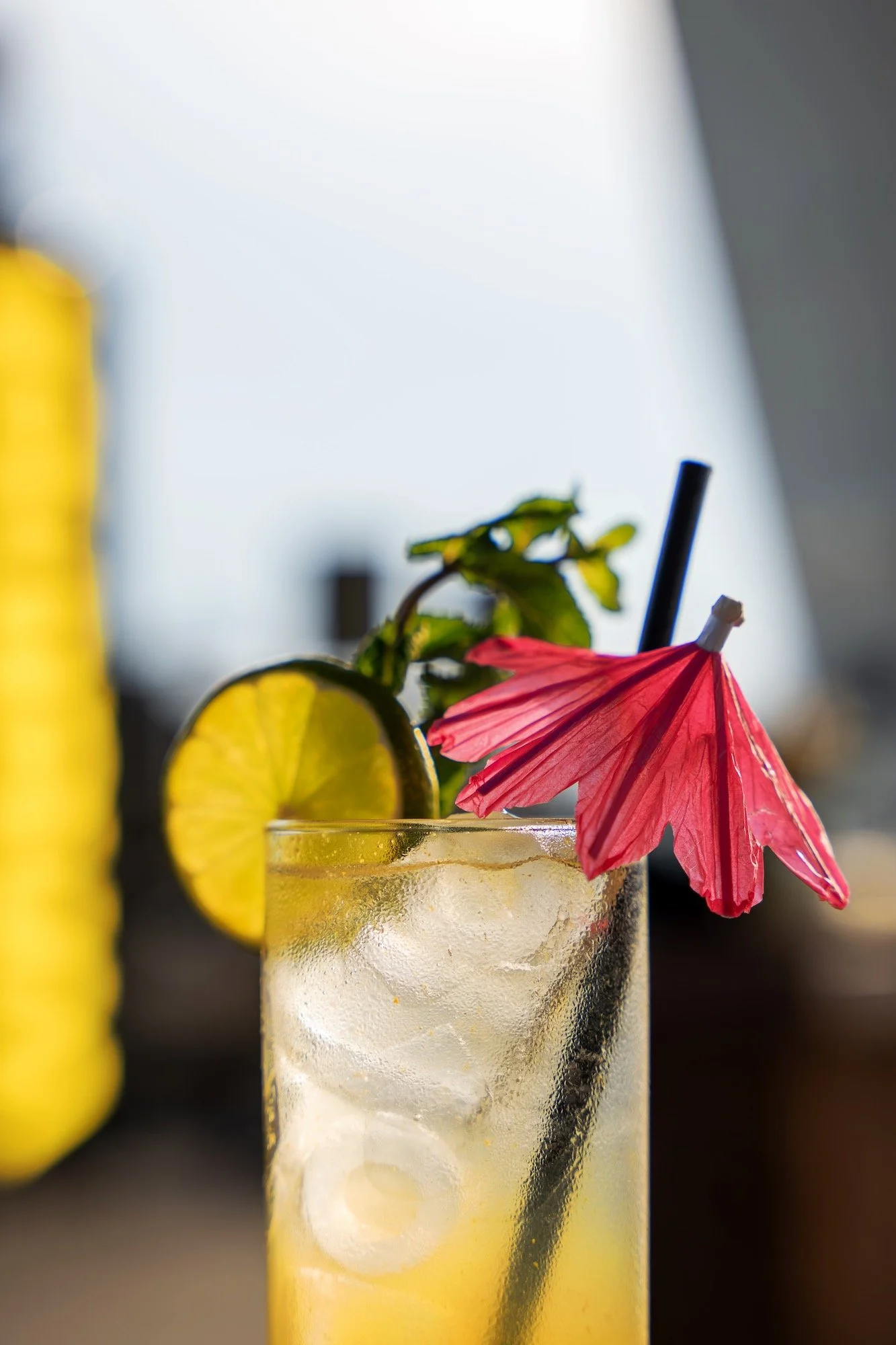 CRAFT COCKTAIL CATERING IN MIAMI | MIXOLOGISTS &amp; SIGNATURE COCKTAILS FOR EVENTS