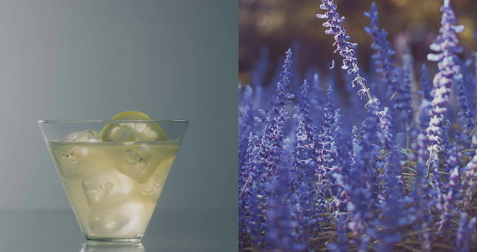 Libations-Cocktails-Drinks-Corporate-Bar-Event-Catering-Miami.jpg