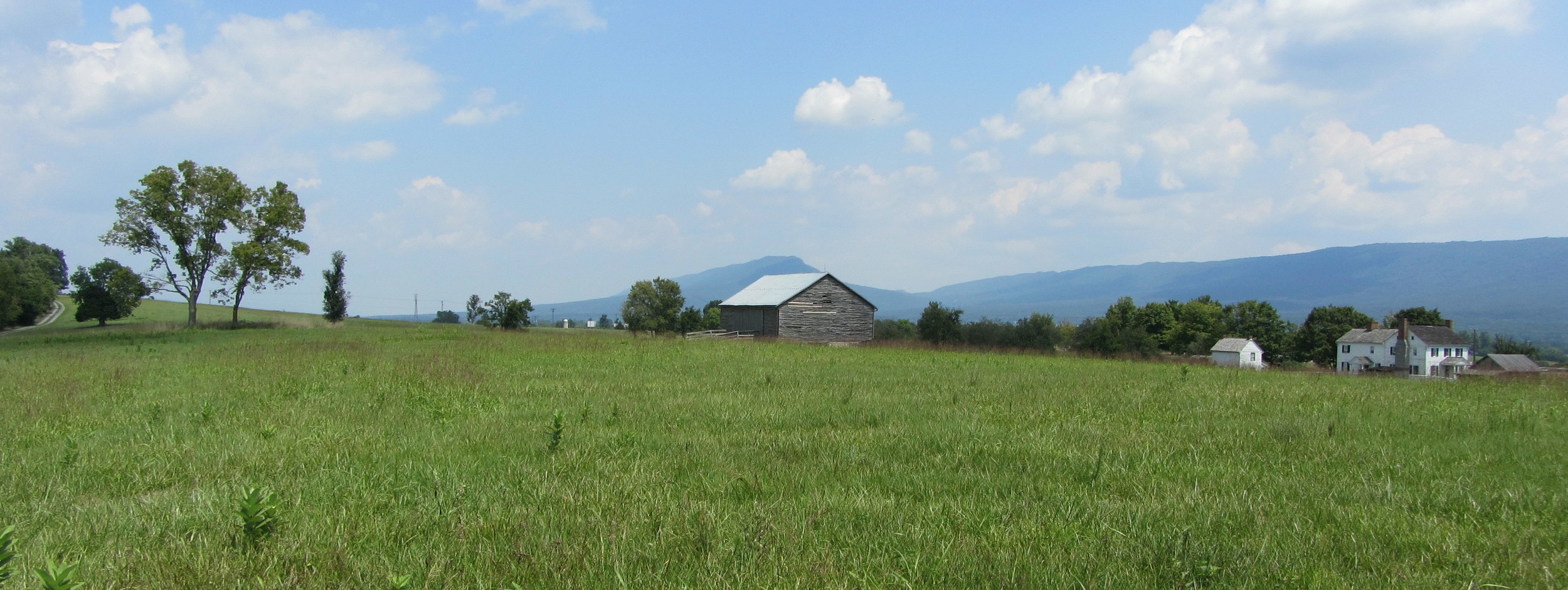 The+view+across+the+fields+at+the+New+Market+Battelfield+in+Virginia.jpeg