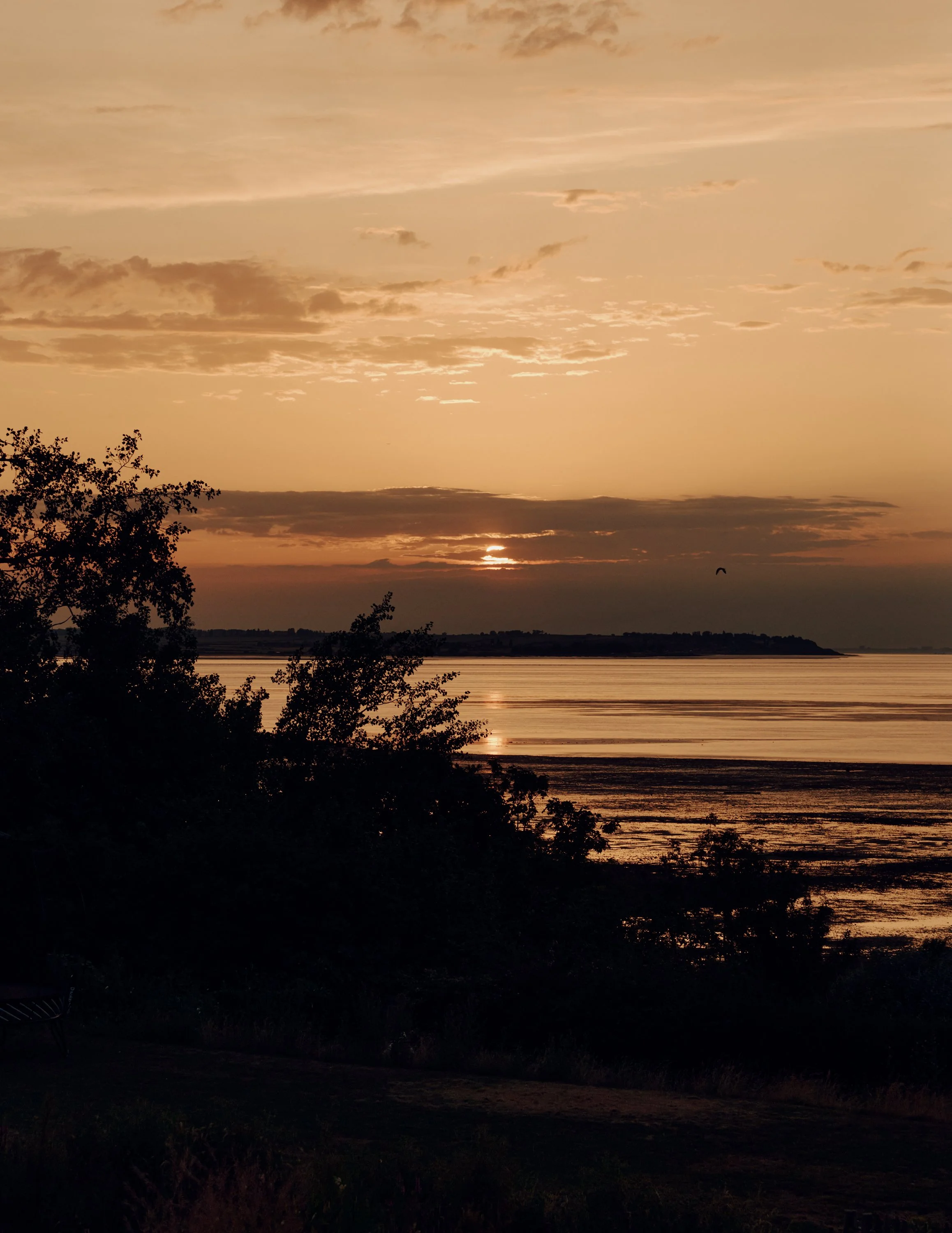 250626-Liddicoat-and-Goldhill-Whitstable-Snapshot-037-Web.jpg