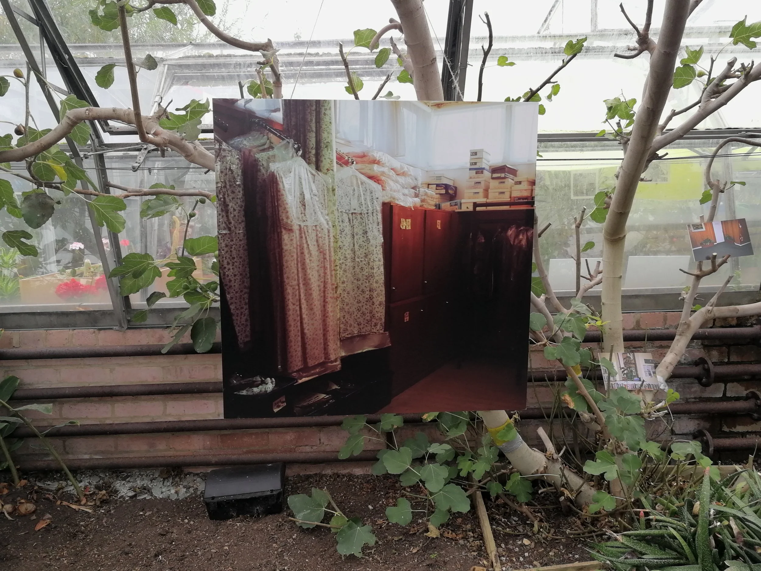 Installation image, from the REH Glasshouses temporary exhibition