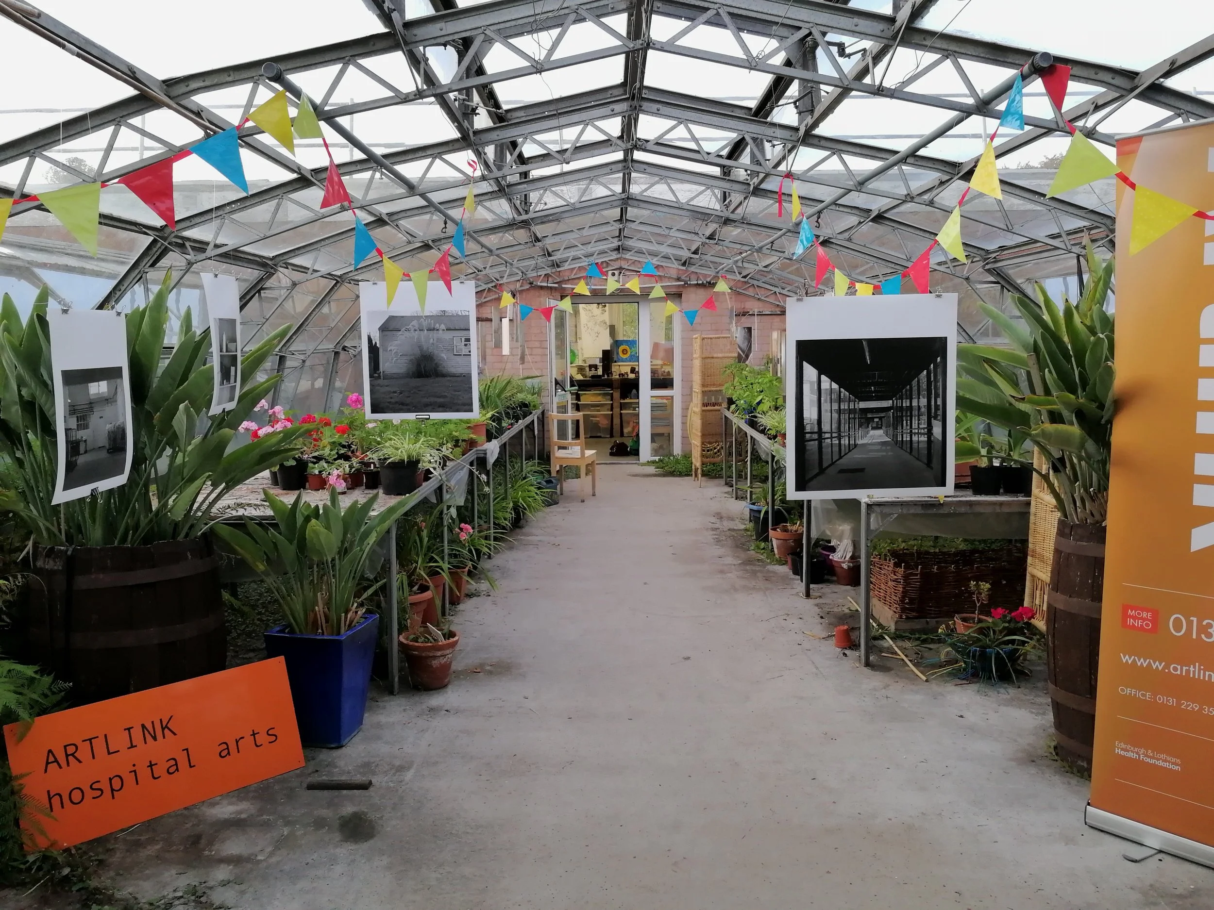 Installation image, from the REH Glasshouses temporary exhibition