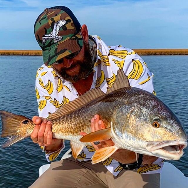 Our good buddy @microskifflove making good on his New Years Resolution to Mildly Inconvenience more Redfish.