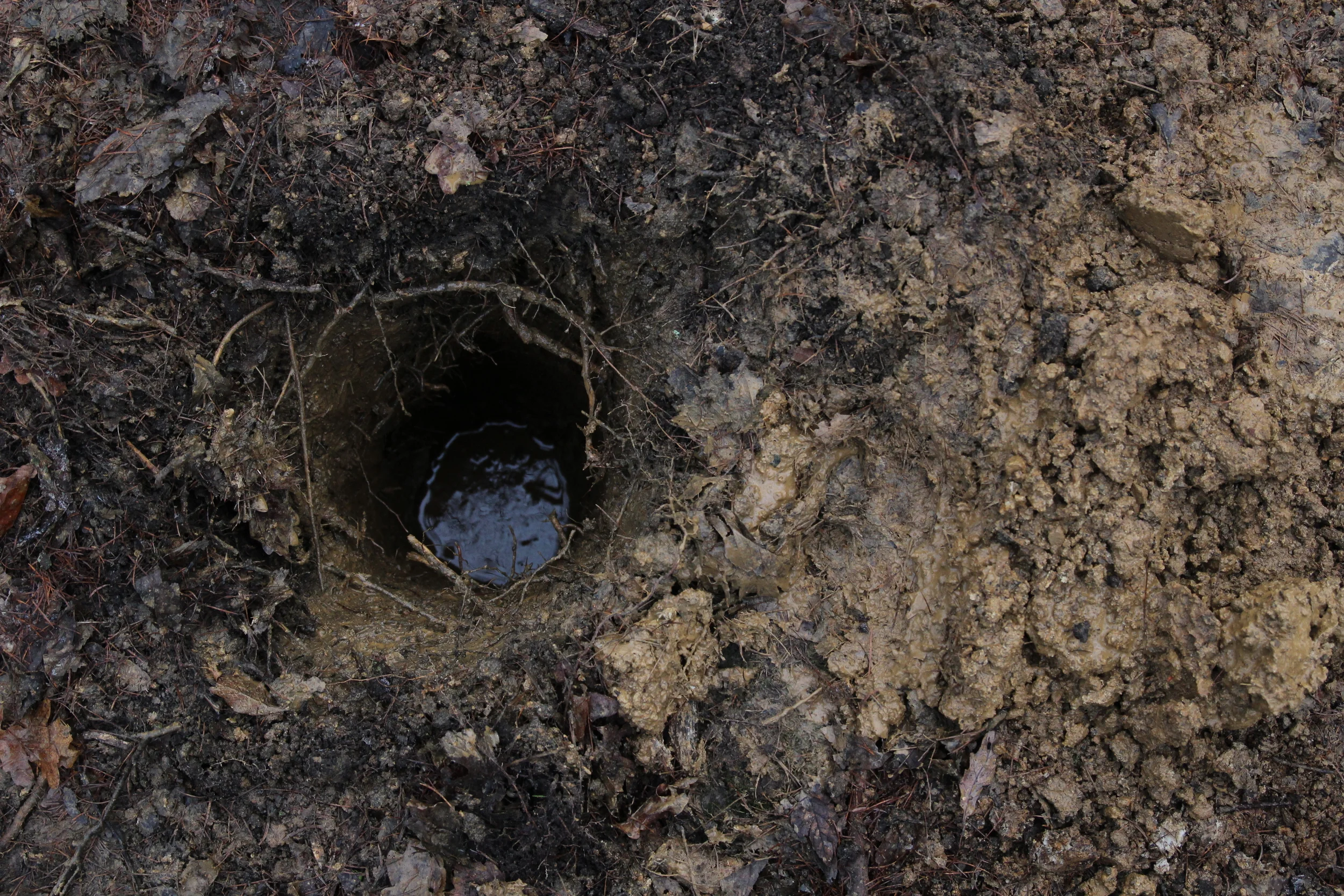 Holes dug between 80cm & 100cm deep give you plenty of support in firm ground. We hit clay and ground water at 50cm deep.