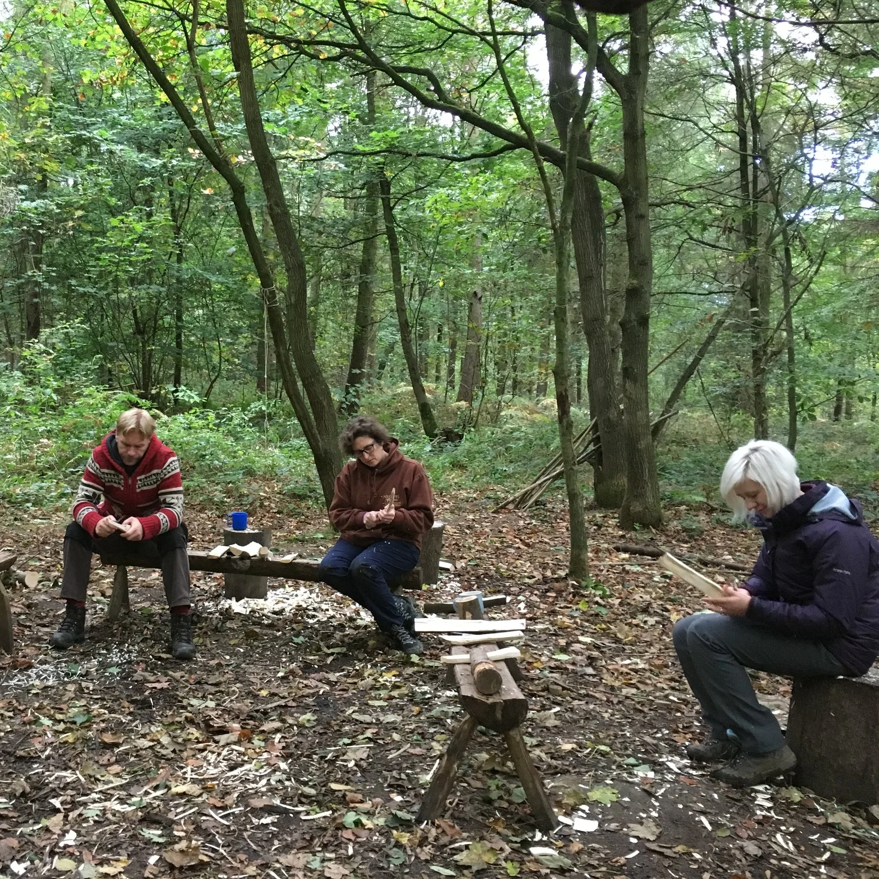 Three people seated on benches surrounded by trees in a serene woodland setting.