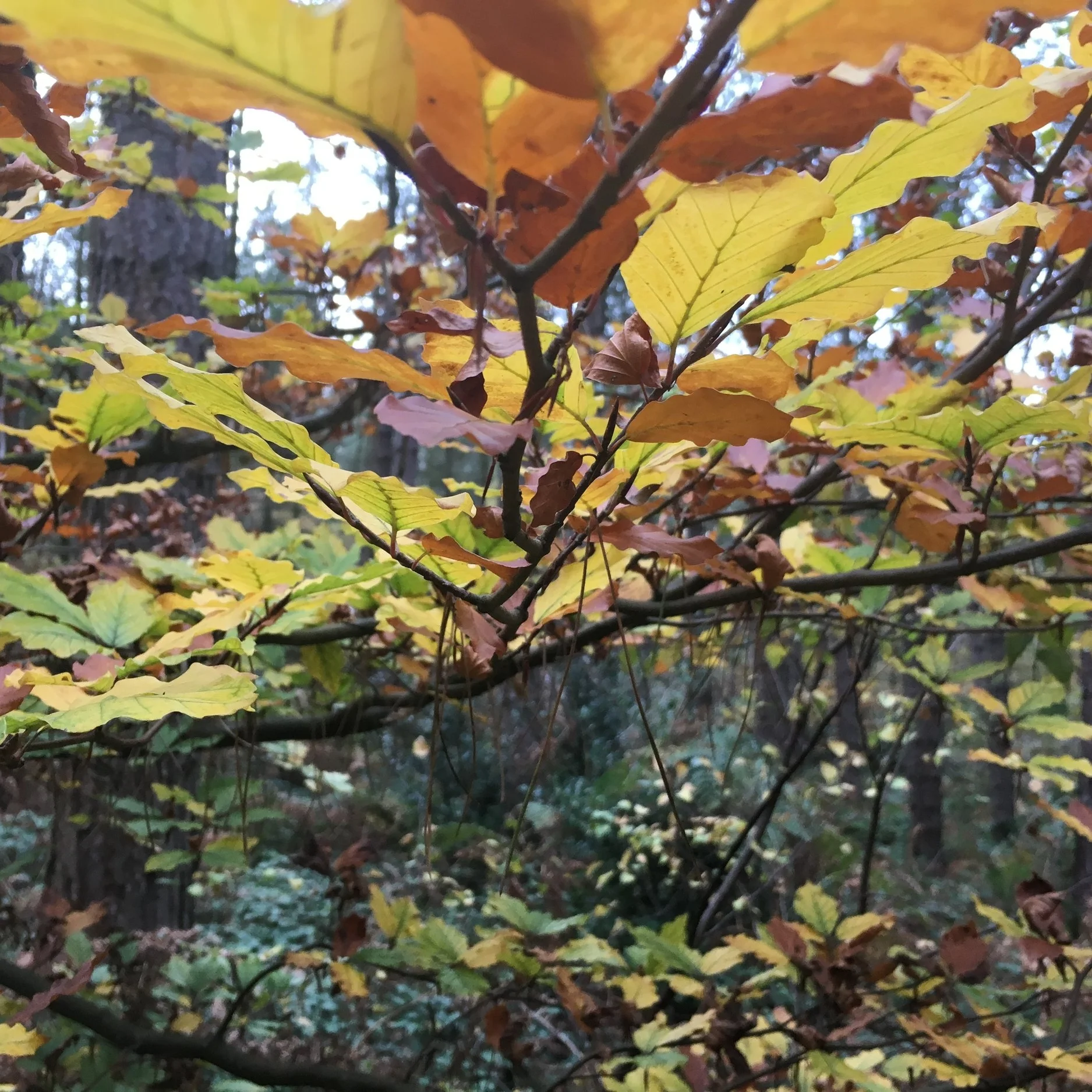 What do i do if i need to cancel my place?To cancel a place please let us know as early as possible, depending on how much notice you give you maybe able to claim a partial refund. Please see our terms and conditions for details.