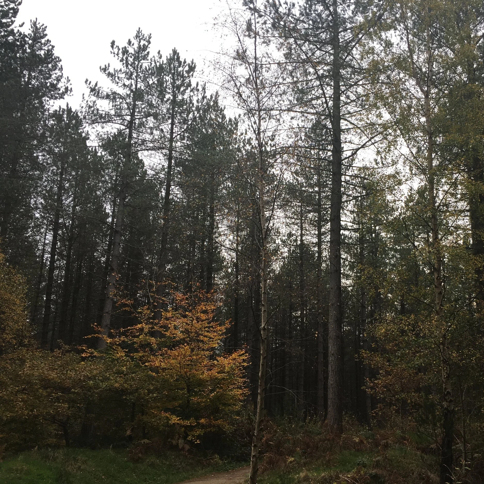 Do i need to be physically fit?During the activities you'll need to walk on uneven ground, sometimes covering a kilometre at a time. There is also a certain amount of exertion in carrying the kit you bring, along with firewood collection and sawing …