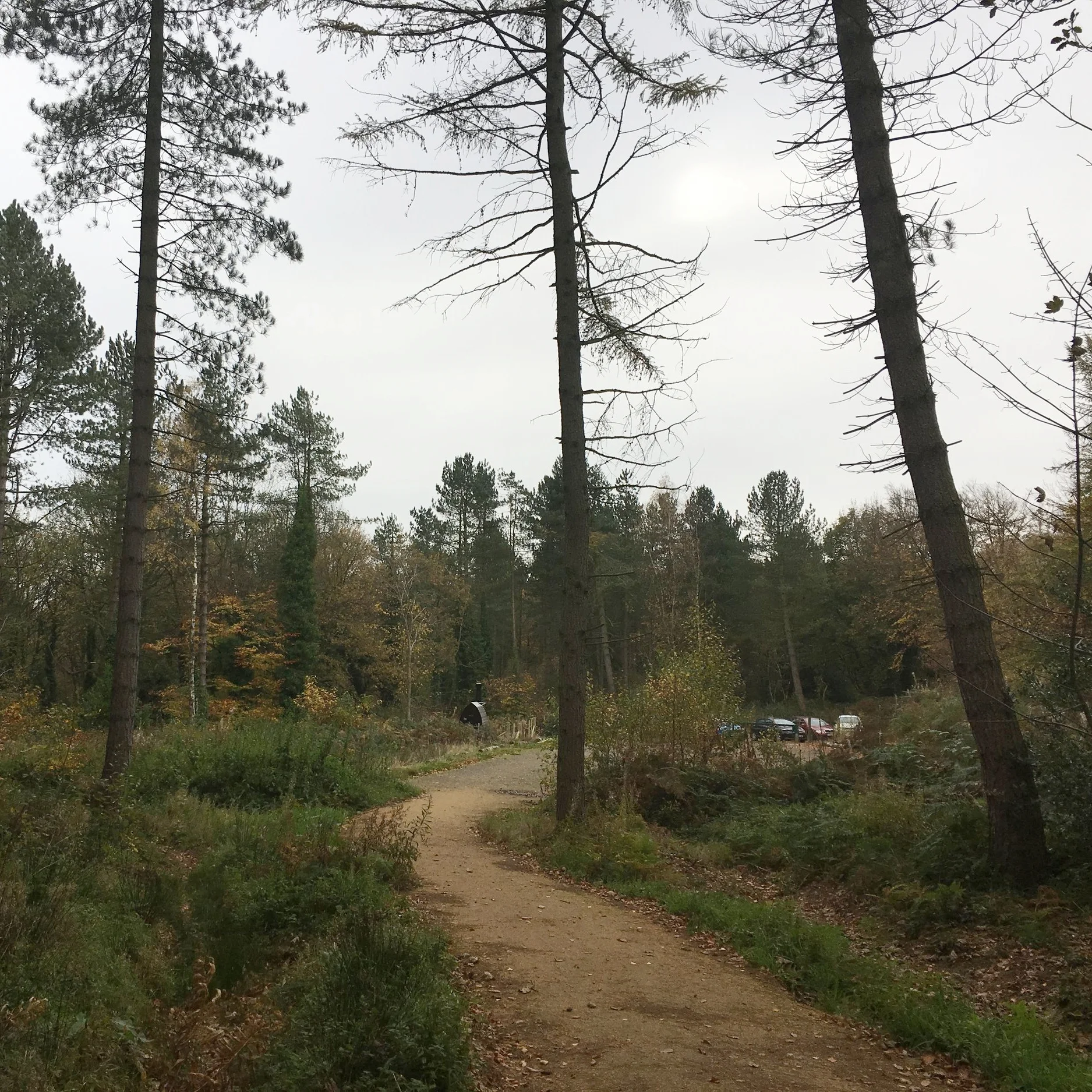 Is there somewhere to park my car, is it safe?We have access to a gated, private car park for clients attending the course. It is set a short way off the main road into the woods. A public footpath runs along it. We cannot guarantee the safety of yo…