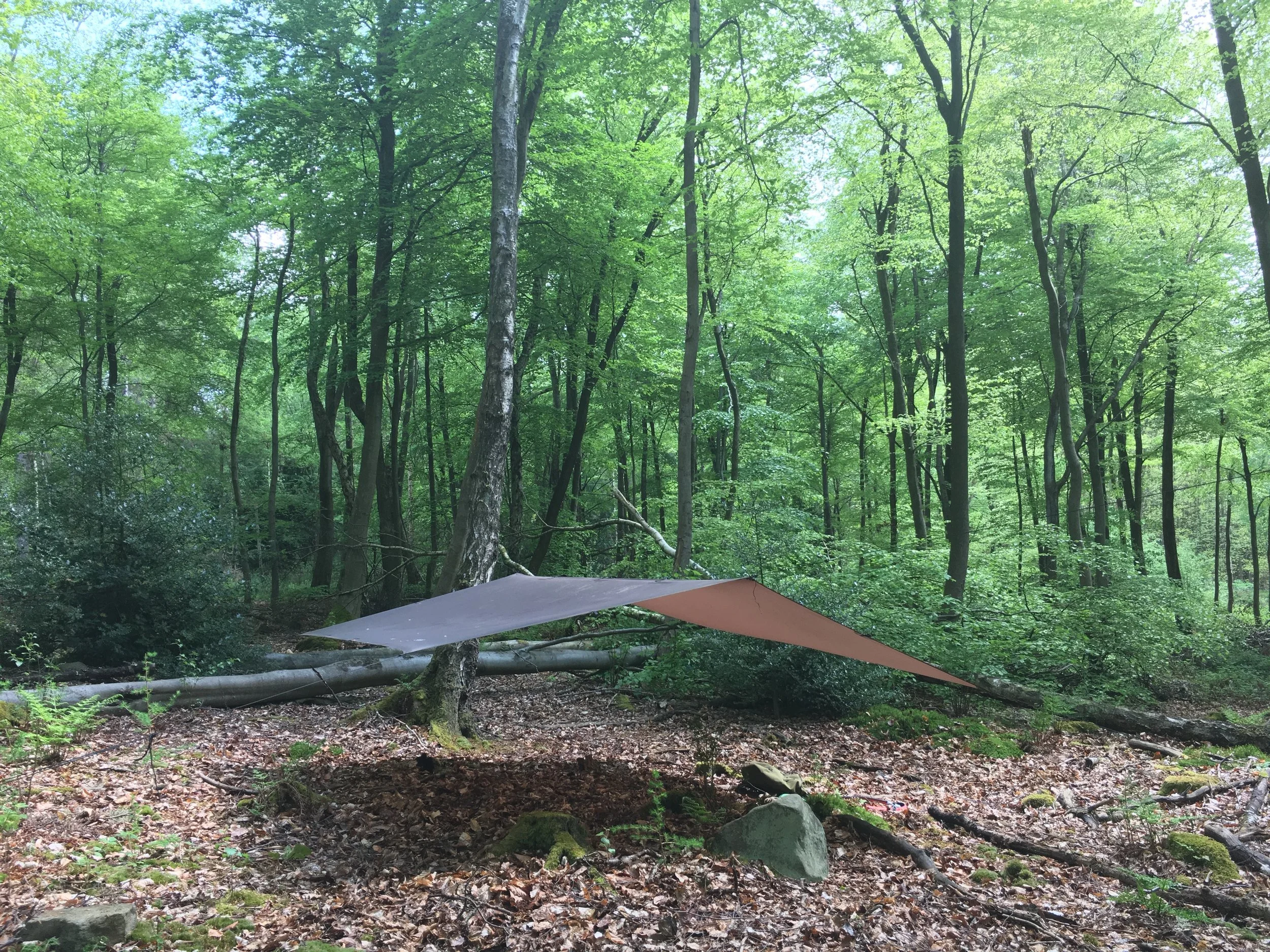 TARP to TARP × WANTKEY CAMP TARP GLASS 71rItZ6jhIL._UF350,350_QL50_.jpg