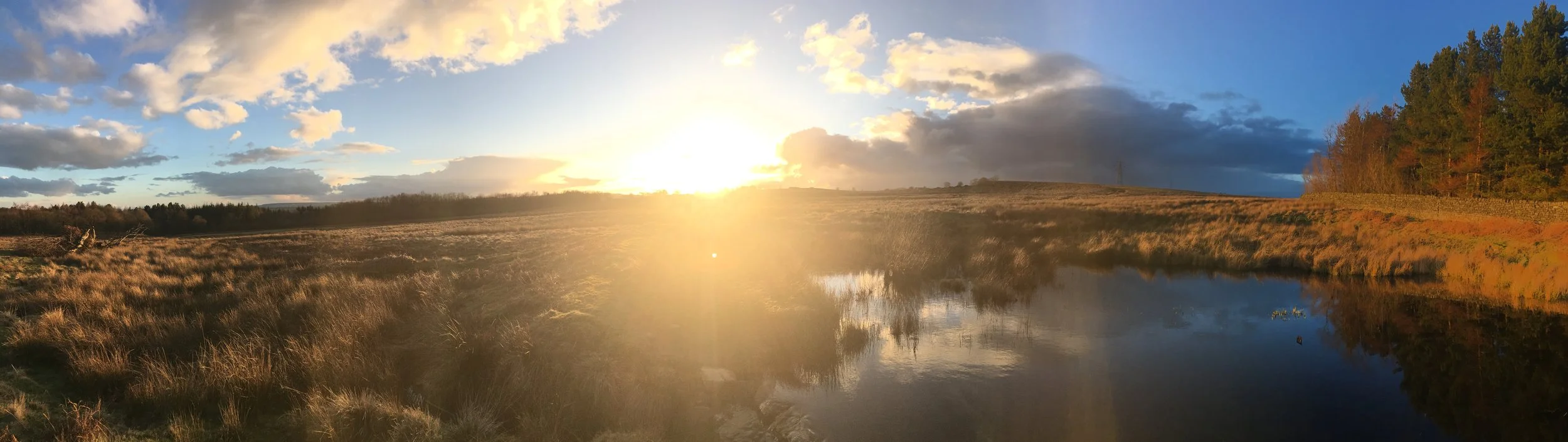 heathland panorama.jpg