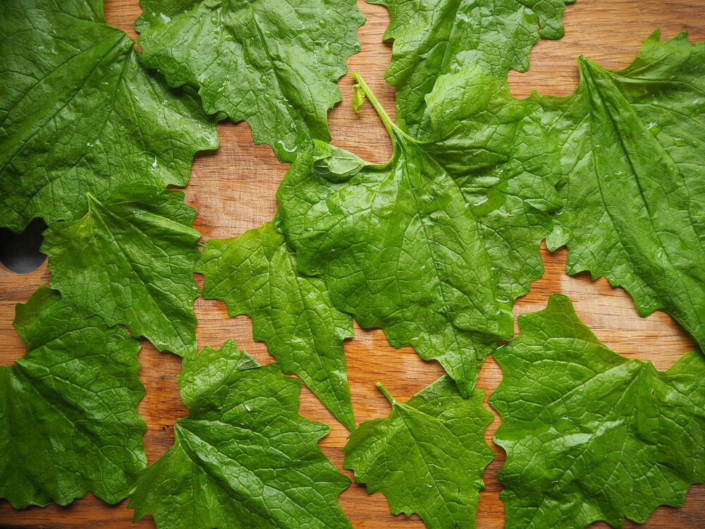 Wash Hedge Garlic leaves thoroughly