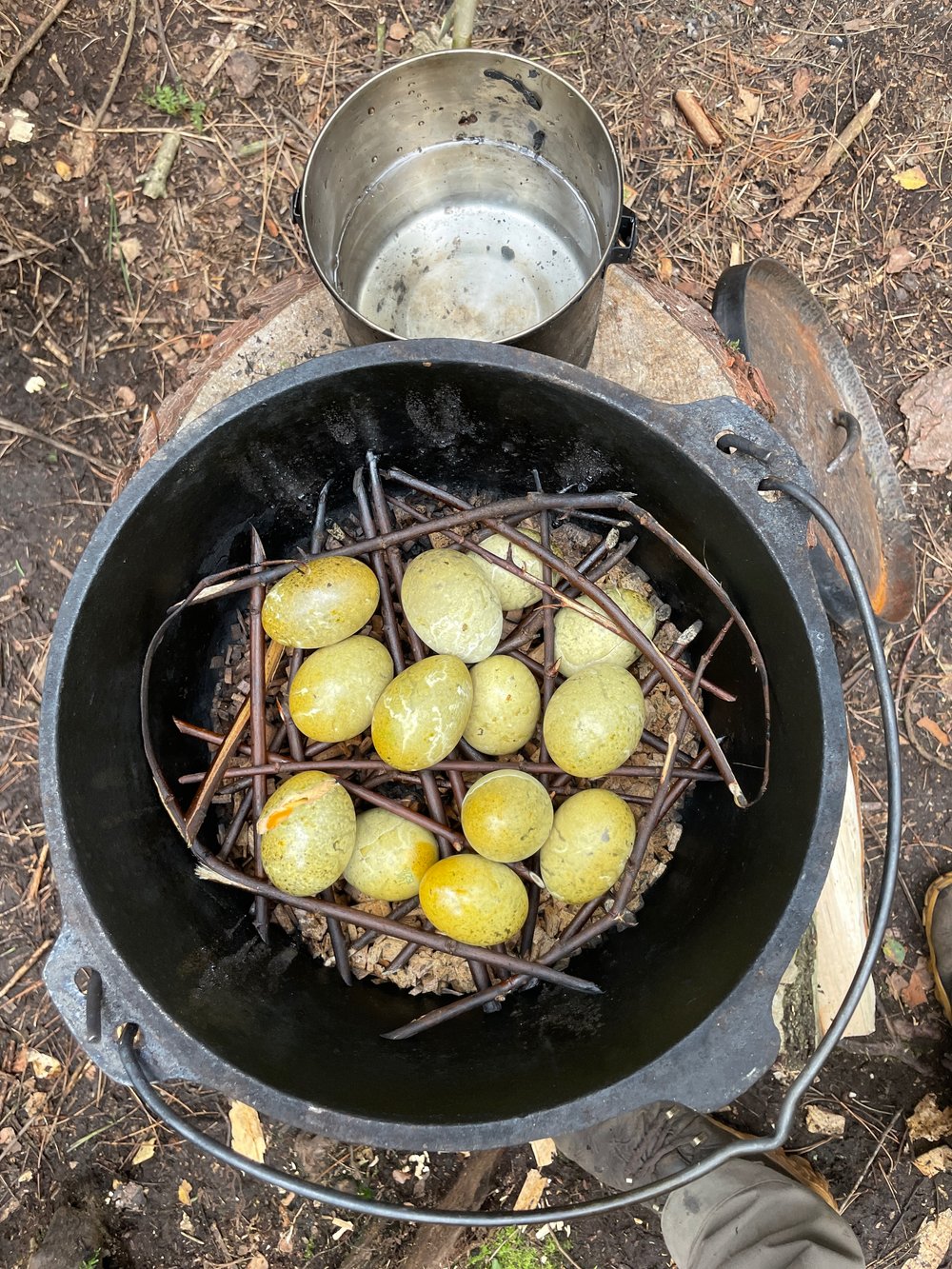 Blue eggs from a client