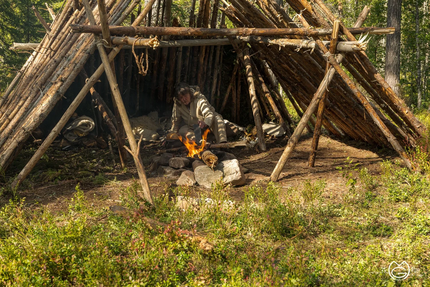 Wilderness Survival Shelter Types: Ultimate Guide to Stay Safe