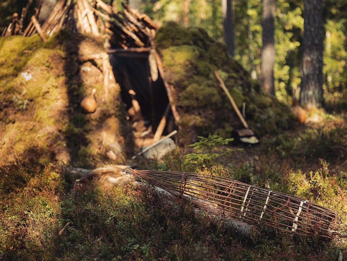 Looking forward to working with @a.woodsman @memmathecavewoman and @livingbynatureofficial to deliver The Year Course from March! It&rsquo;s coming around soon, so get your ticket booked to secure your place with just a deposit 💵 and there are multi