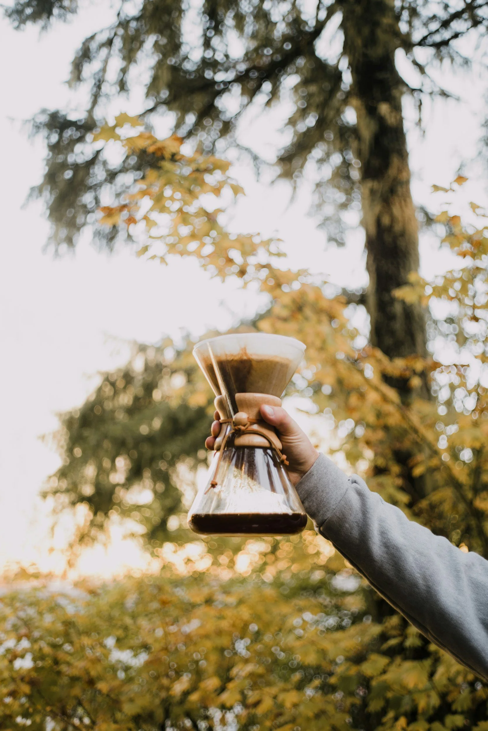 unsplash-image-5sDeL7sdUIs.jpg
