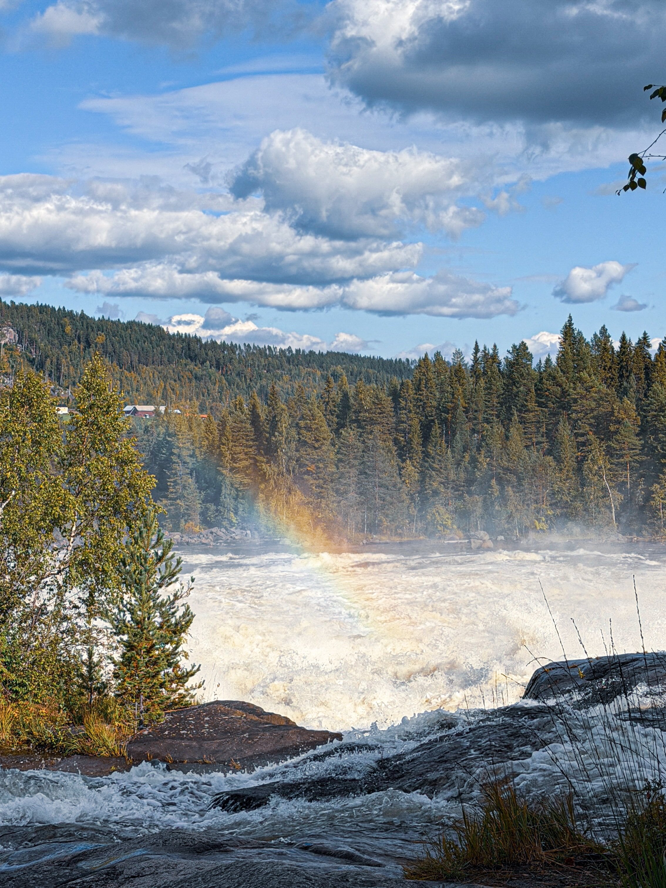 The Boreal Biome is an incredible ecosystem of northern nature. We&rsquo;re running the expedition here next summer to give 10 clients the opportunity to learn and explore this stellar space with bushcraft and adventure combined, ecology and wildlife