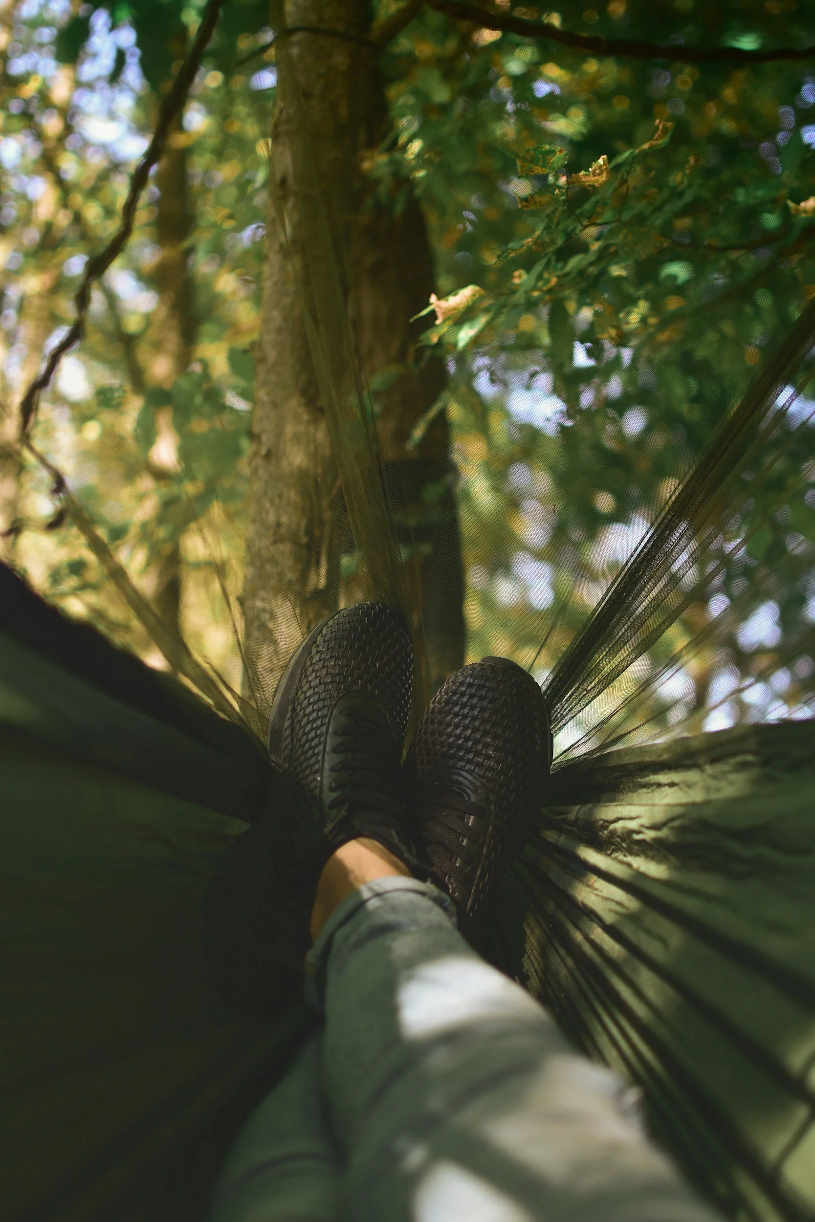 unsplash-image-UI1zMu-otWc.jpg