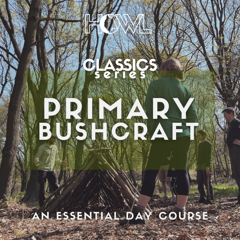Primary Bushcraft Course -A One Day Introduction — Howl Bushcraft