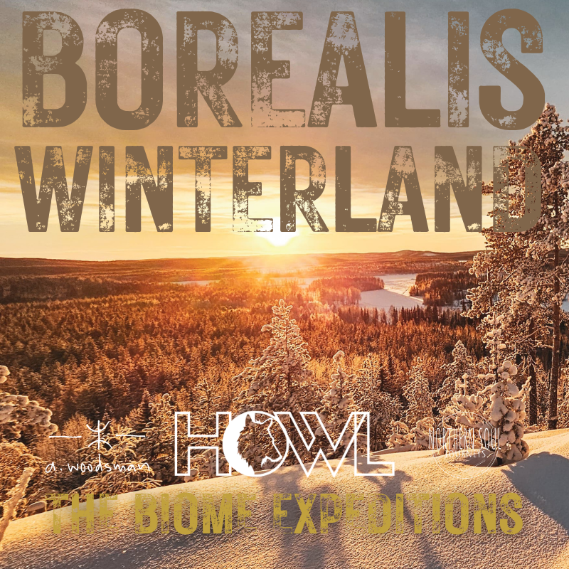 Borealis - Swedish Winter Bushcraft Trip