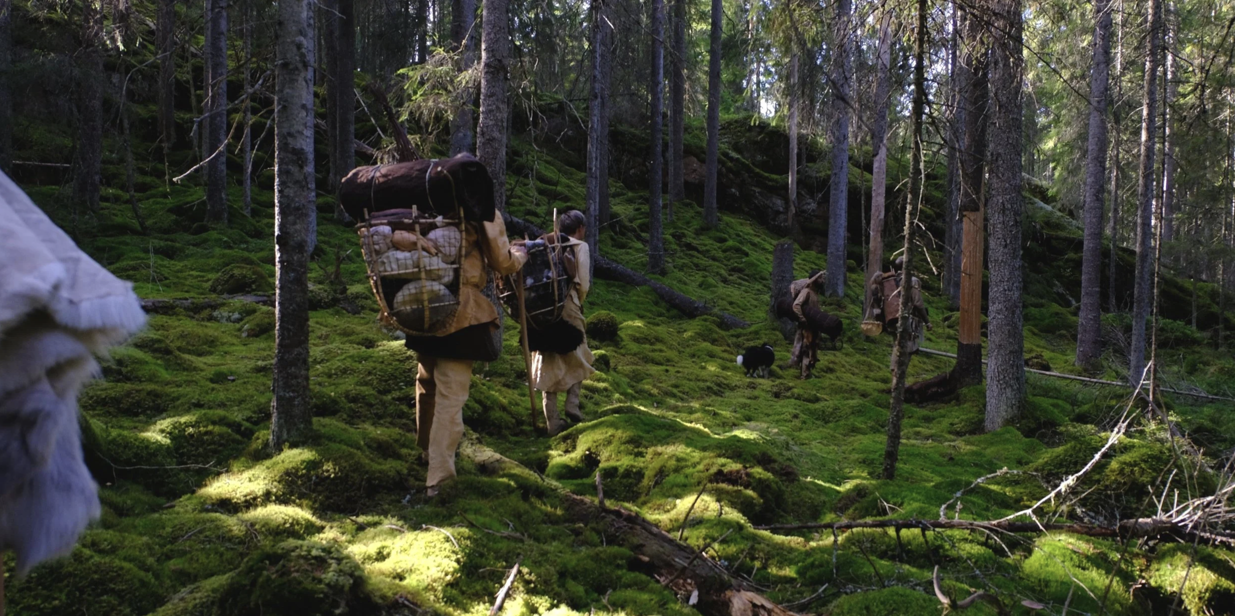 Group of people hiking through a lush, moss-covered forest with tall trees and sunlight filtering through the canopy.