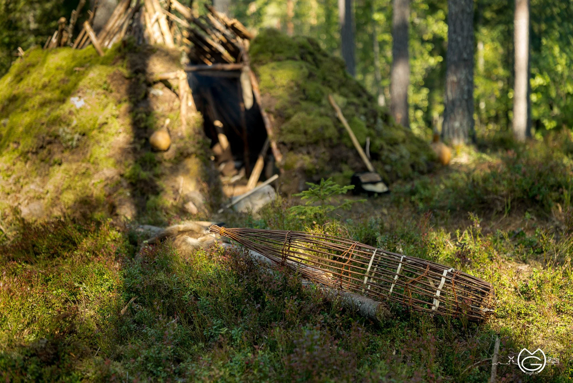 A makeshift shelter in the woods with a moss-covered mound, a wooden door, and a woven firewood rack on the ground among green plants.