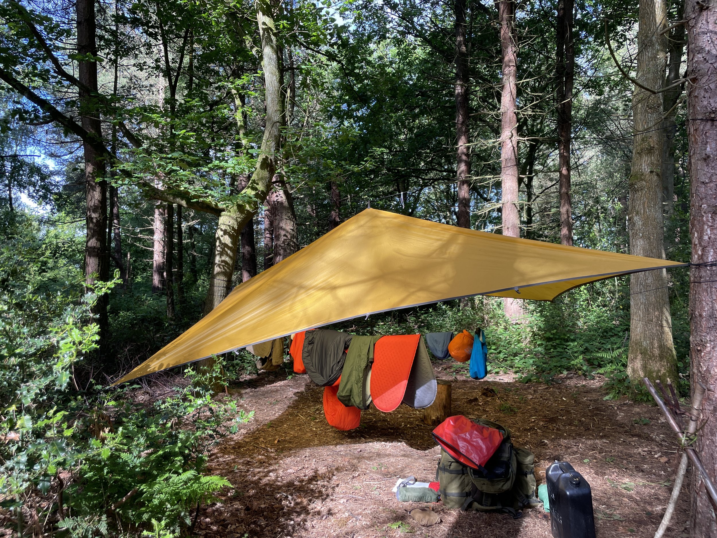 Camping scene with a yellow tent and clothing hanging on a clothesline in a wooded area with tall trees and green foliage.
