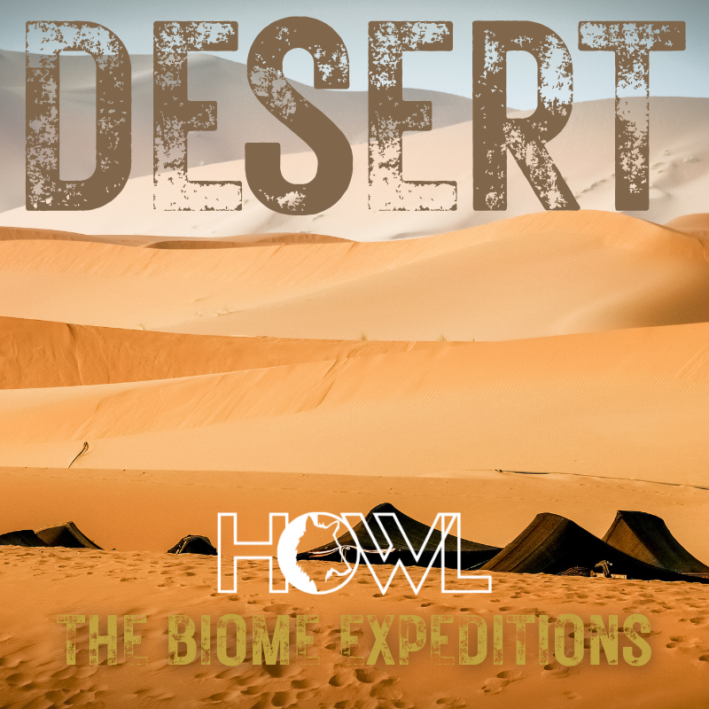 Desert