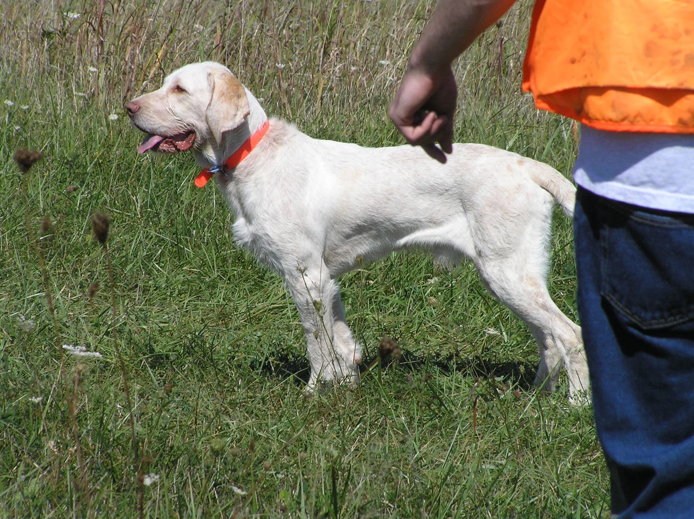 Bandito 053 - Copy.JPG