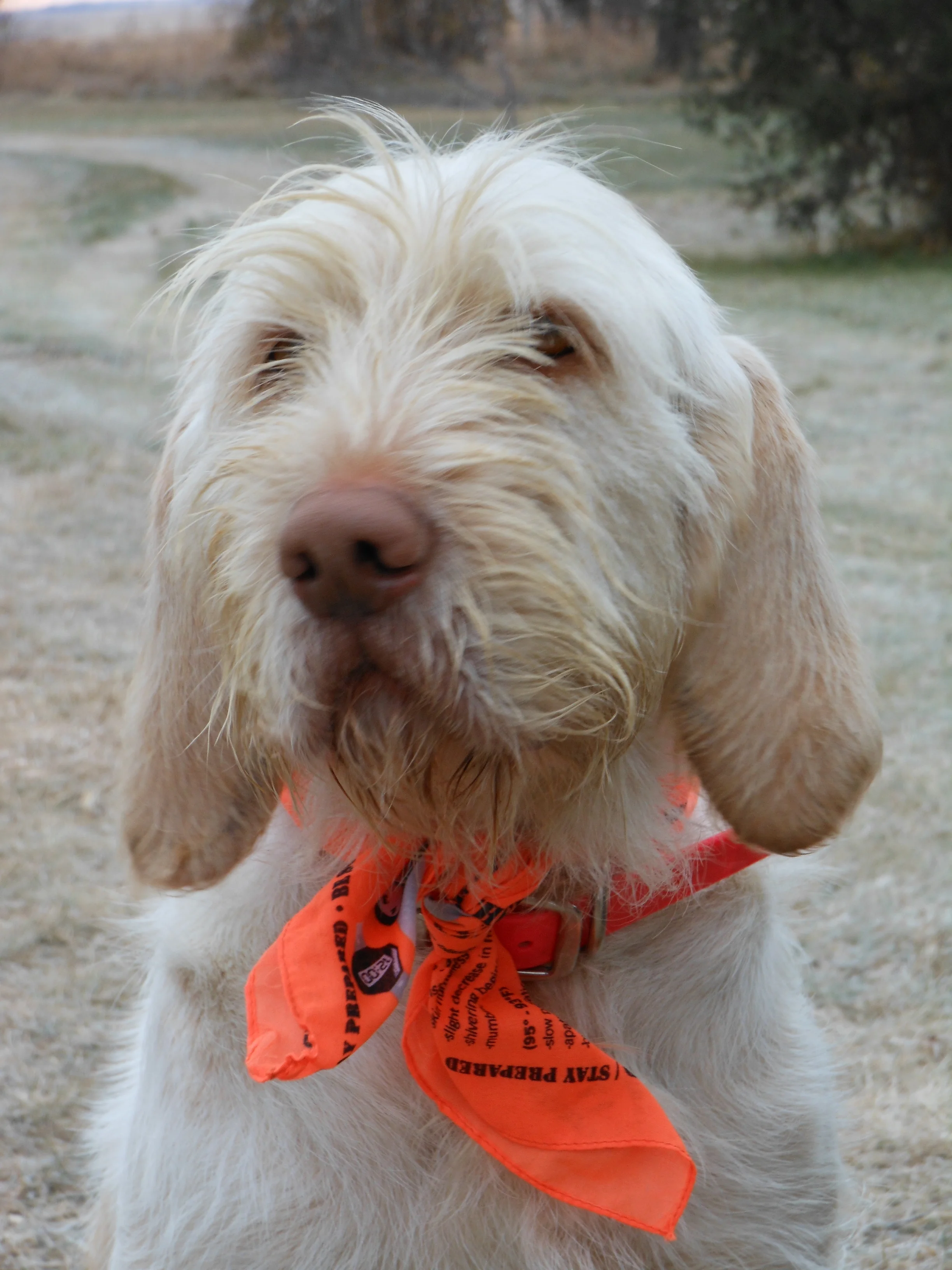 20111109-2011 ND Hunting 2011-11-09 022.jpg
