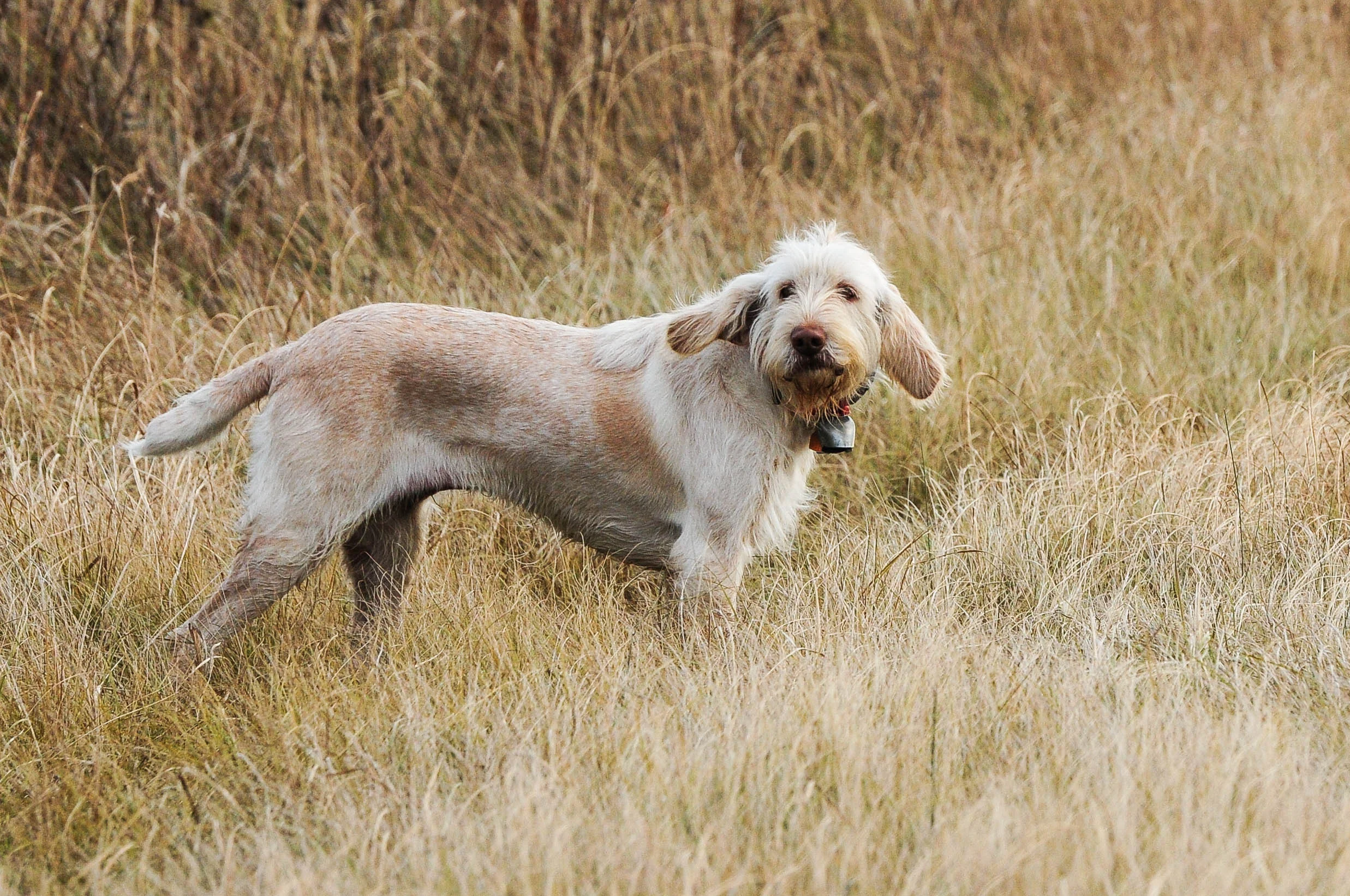 20131027-2013 North Dakota Hunt Trip-276.jpg
