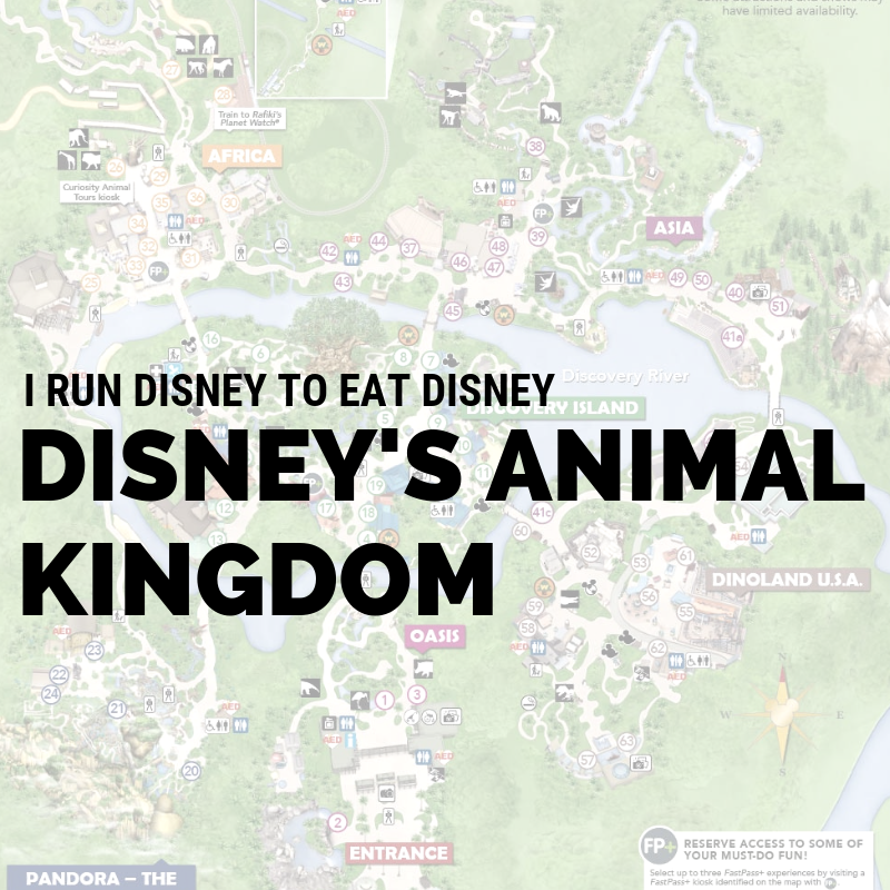 I Run At Disney To Eat At Disney: Disney's Animal Kingdom Edition
