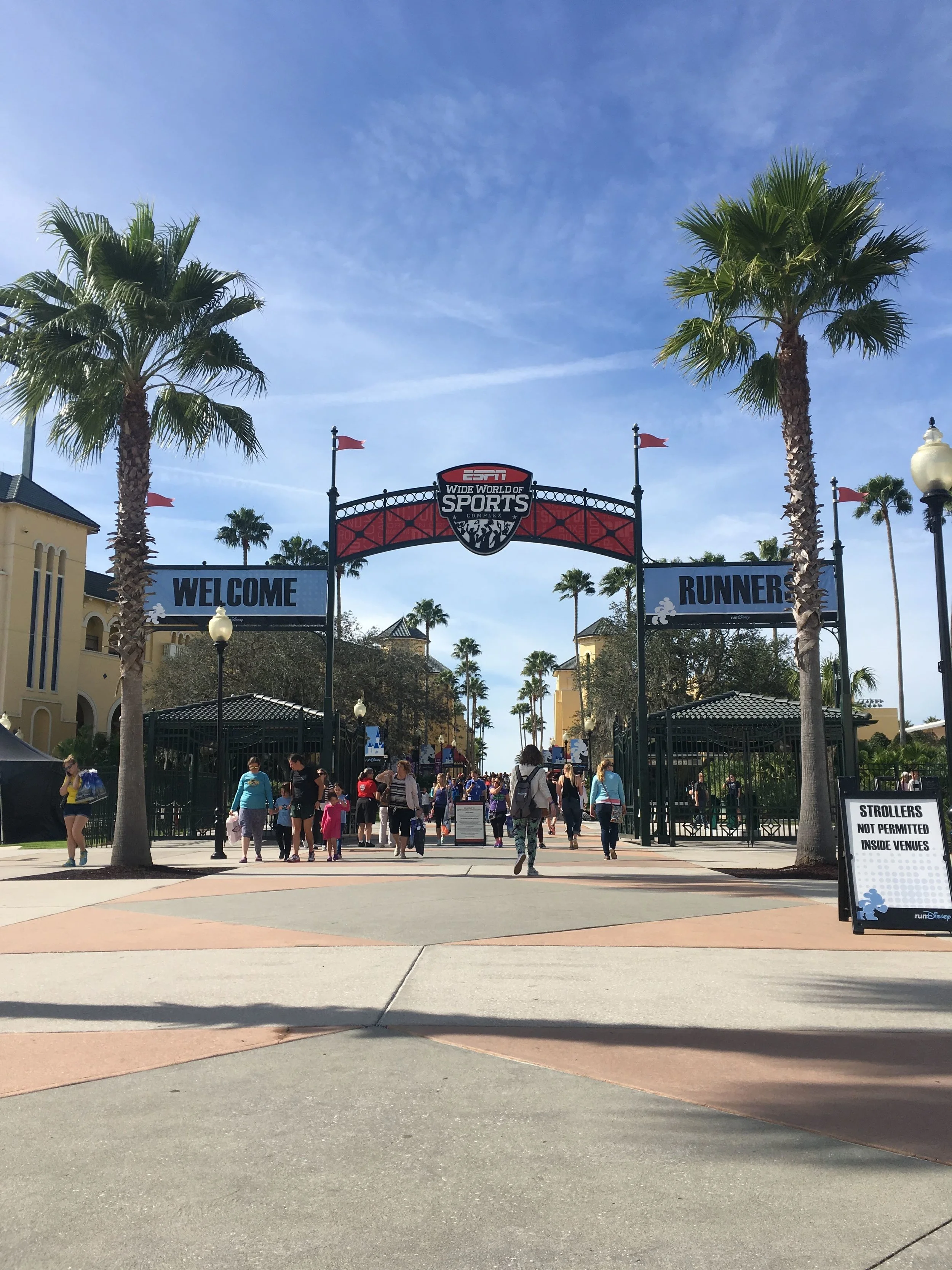 Wide World Of Sports