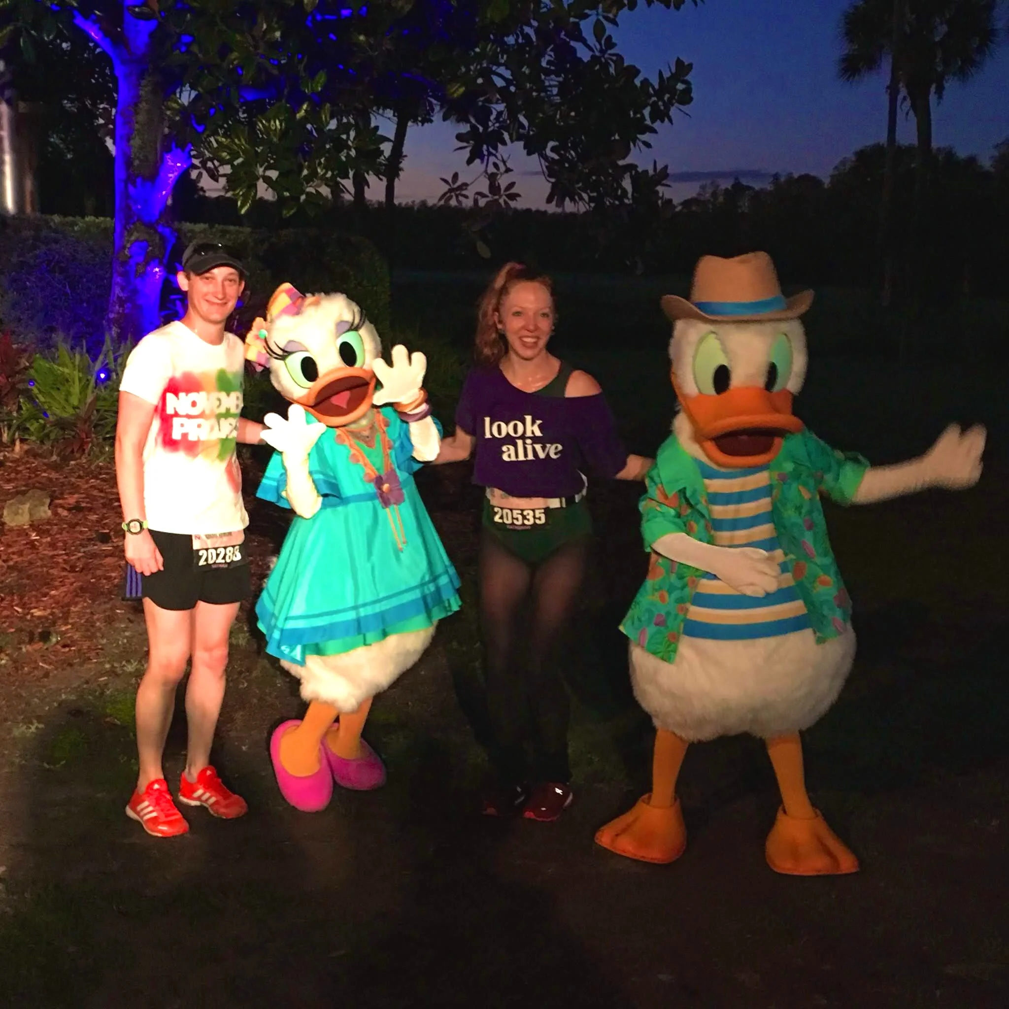 donaldanddaisy