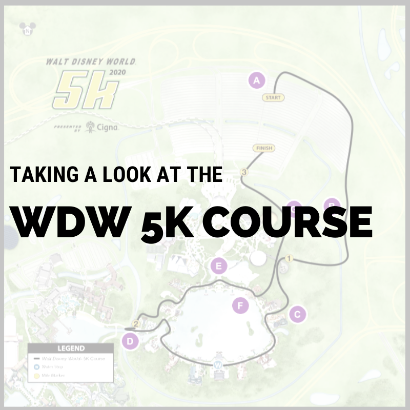 Let's Talk 2020 WDW Marathon Weekend Courses!