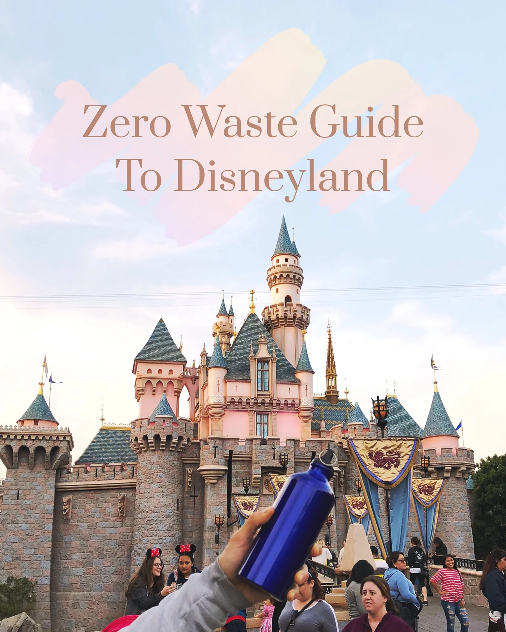 My Zero Waste Guide To Disneyland