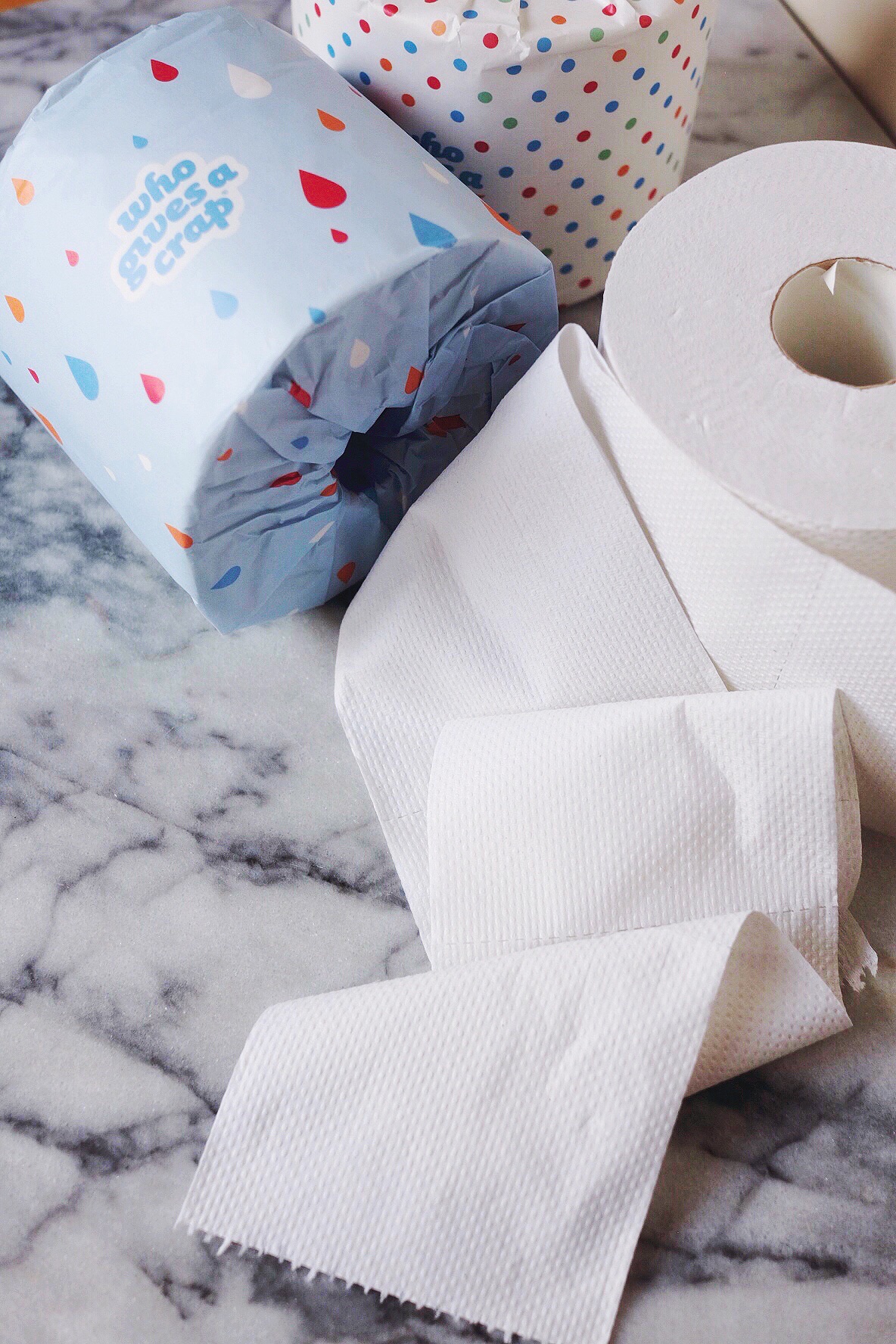 Bamboo vs. Recycled Toilet Paper: Which is Better?
