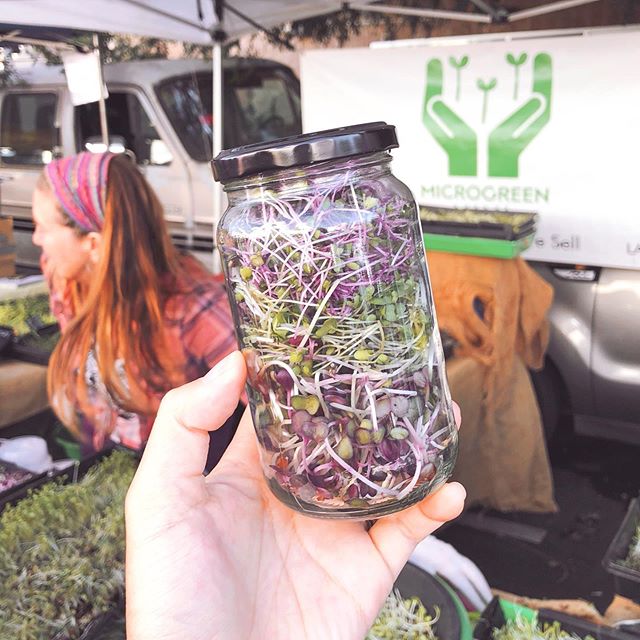 Locally grown organic microgreens in my own container from @microgreenmama at the Hollywood Farmers Market (@thehfm)! Laurette and I were both urban farmer interns who learned about beyond organic farming practices under @farmerrishi and @zerowastefa