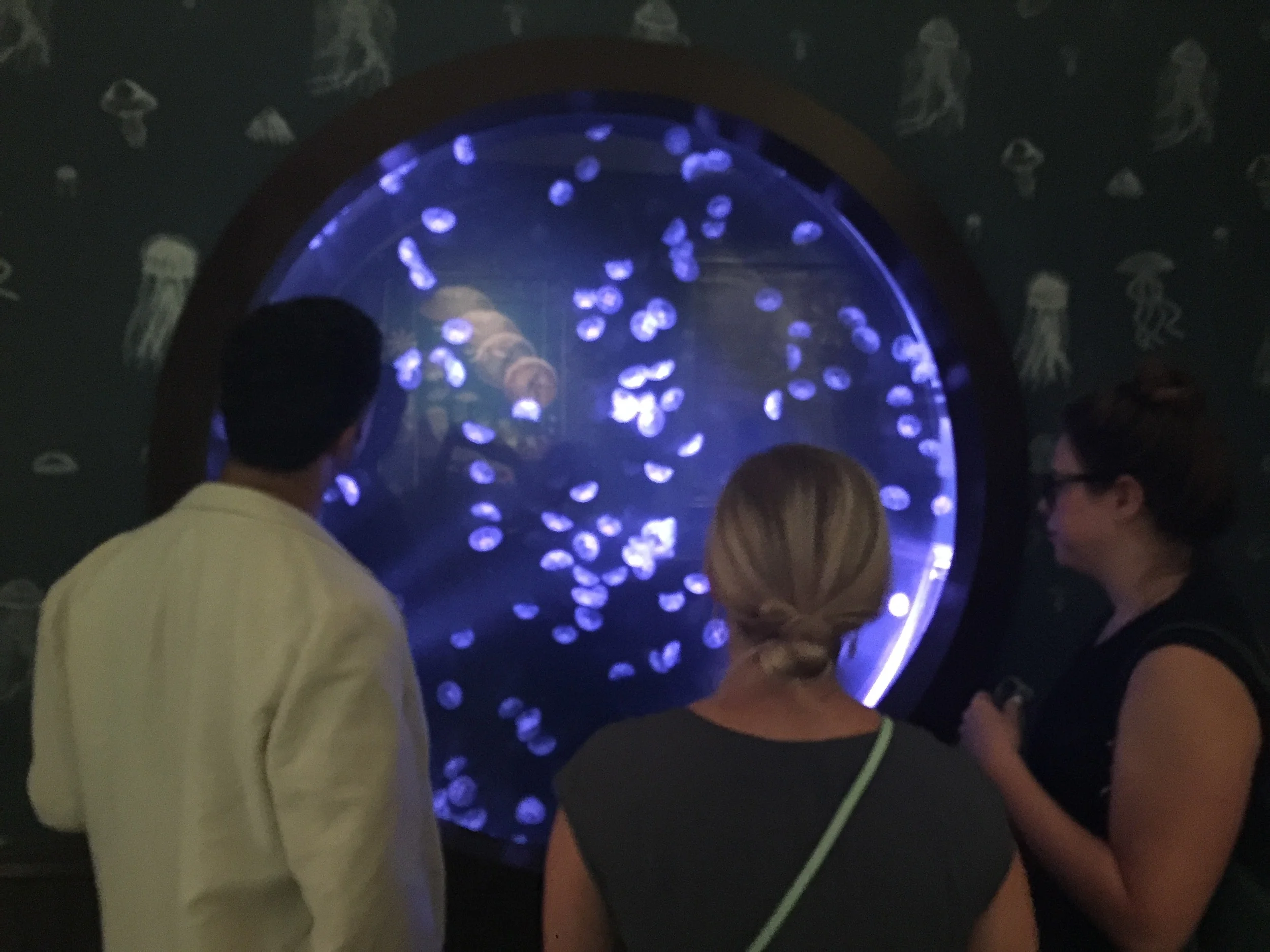 The Trouble with Jellyfish