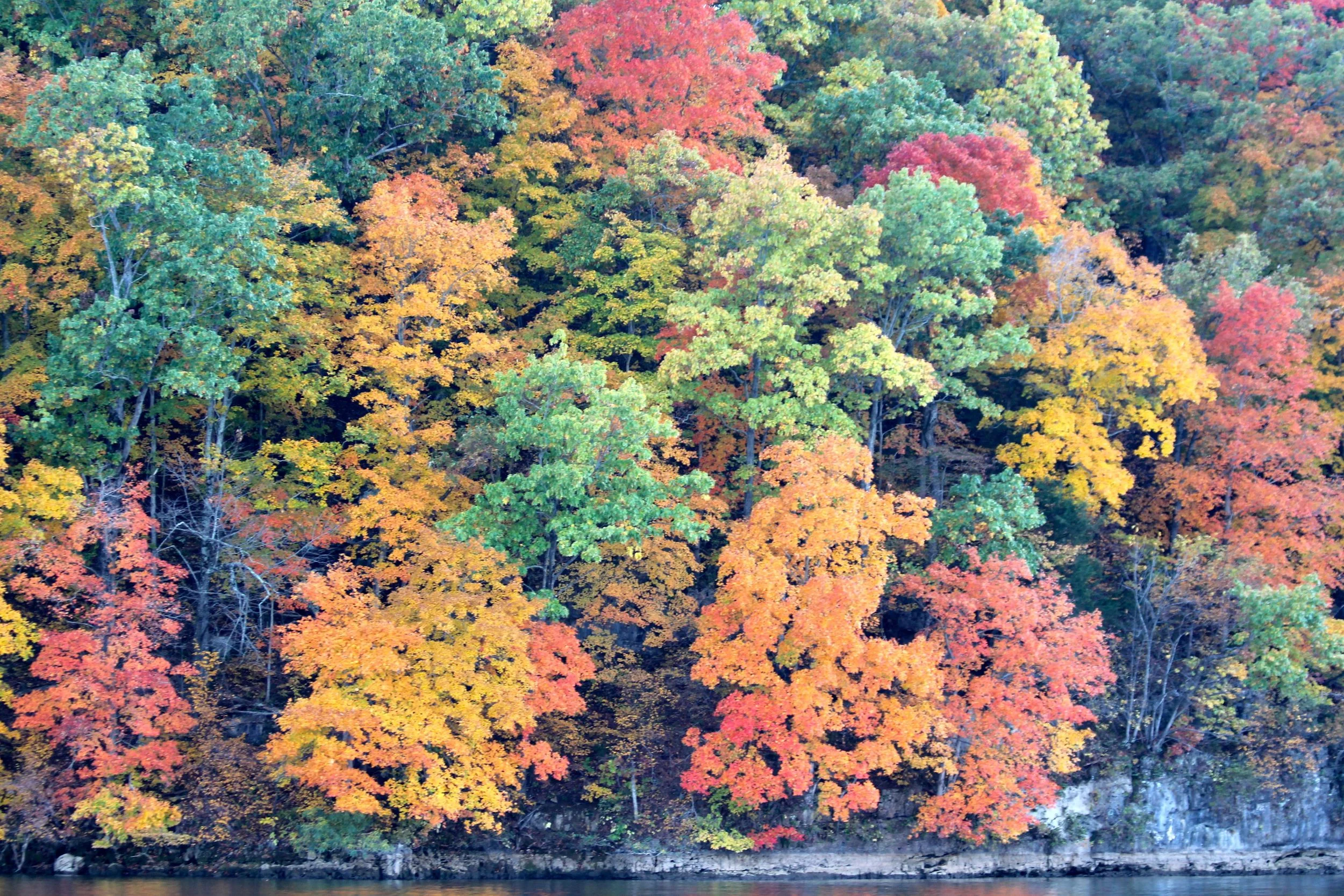 Oct. 2012 Fall colors
